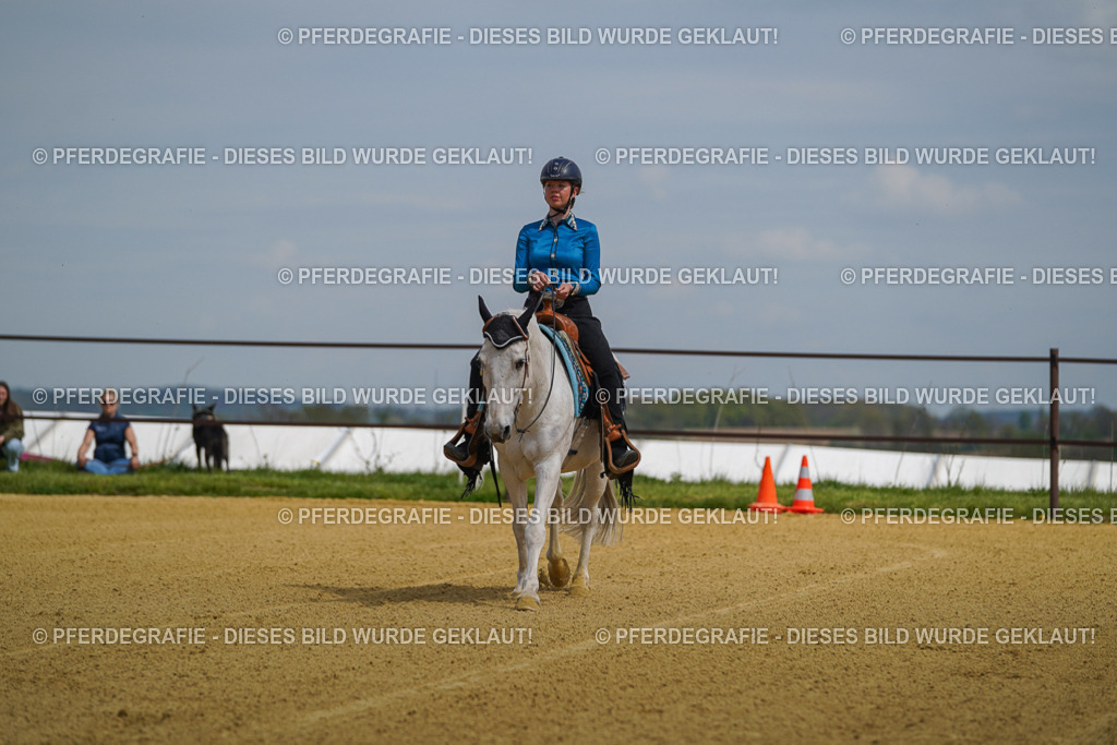 DSC05507 | Pferdegrafie