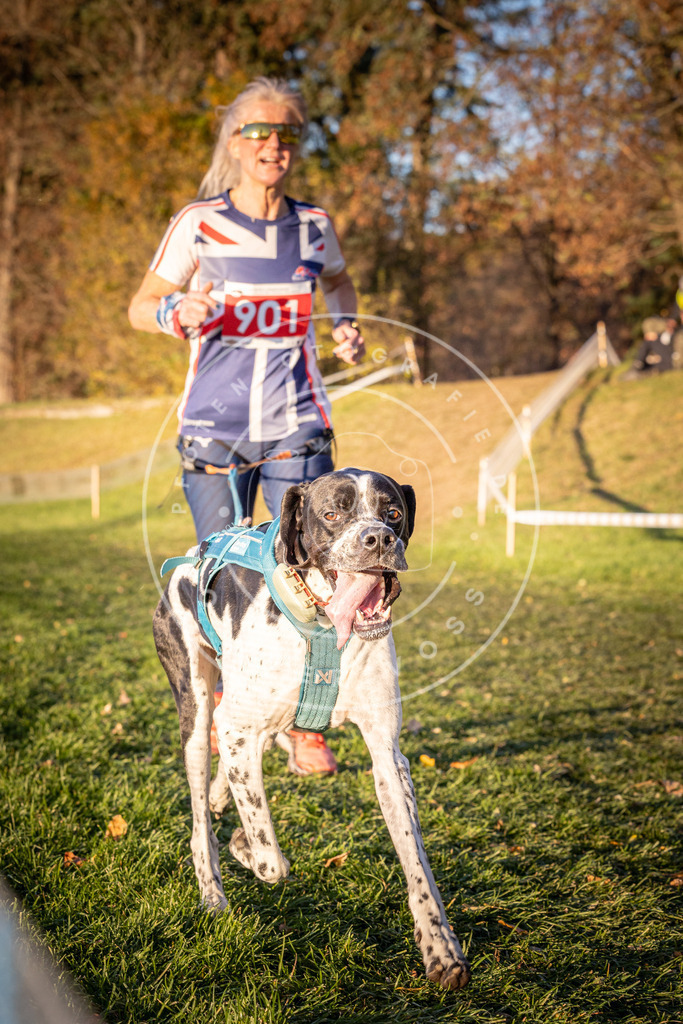 CaniXpix_0L8A1359 | Hundefotografie, Tierfotograf, Pfotenfotografie, Fotoshooting Hund, Hunde Portrait, Hundesport, Hundeportraits, Heideshooting, Hunde, Sportfotograf, Hundefotograf, Turnierhundsport, THS,  - Realisiert mit Pictrs.com