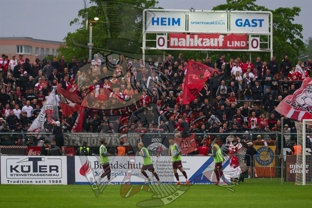 BFC Dynamo vs. Hallescher FC 049 | mythos-online-redaktion