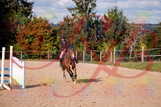 2026_10_03_Siefer-Hof_154714_Z81_66600726 | Professionelle Reitsport-, Turnier- und Eventfotografie von Robert Broda. Galerien mit ausgewählten und bearbeiteten Bildern direkt online ansehen und bestellen.