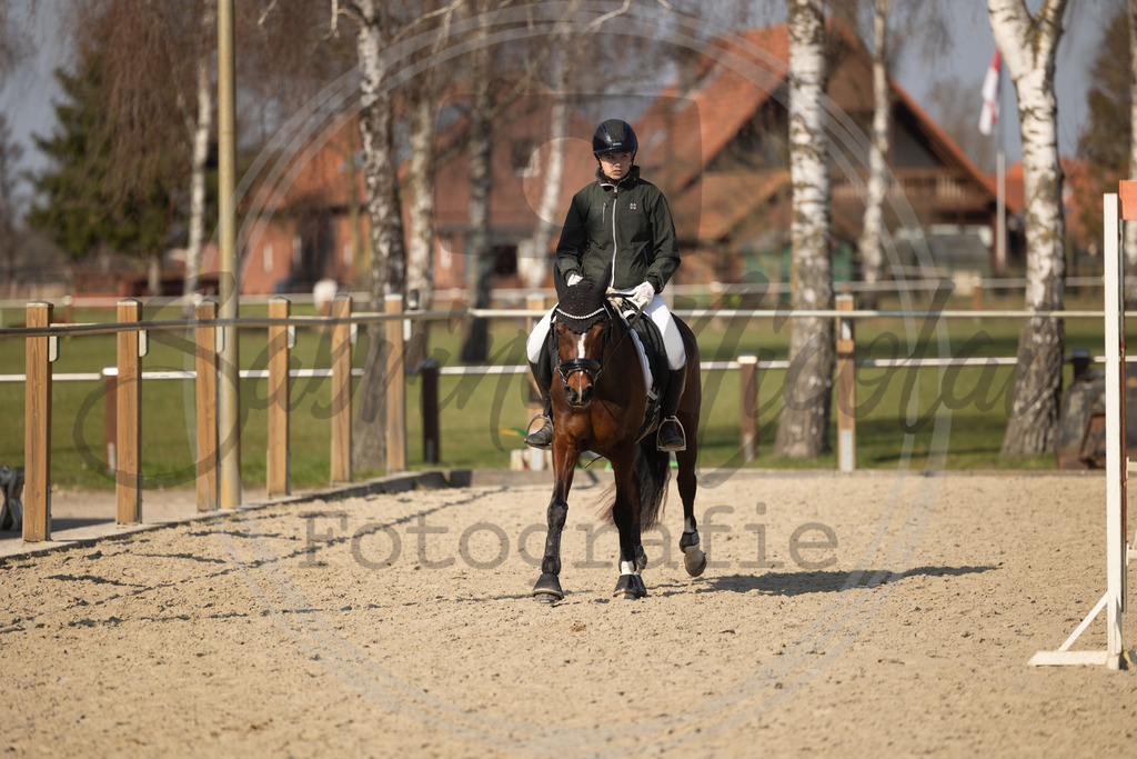 994A9687 | sabrinanicolaifotografie - Realisiert mit Pictrs.com