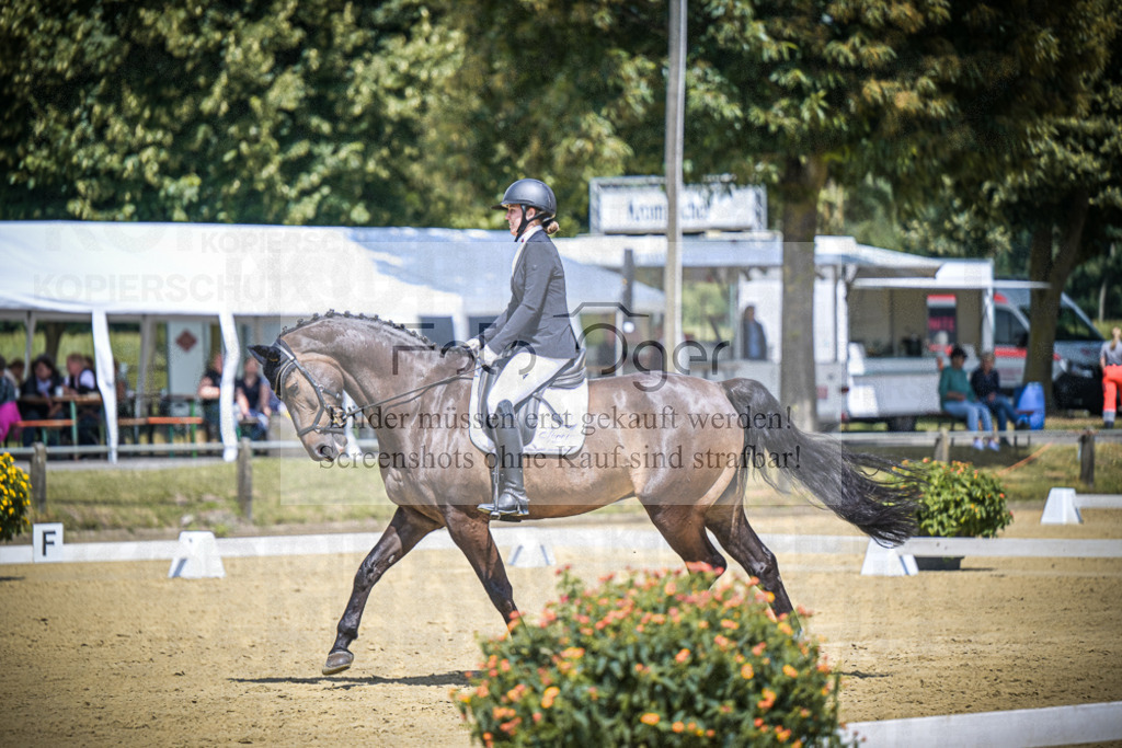 DOS_4506 | Entdecke hochwertige Reitturnierfotos von Foto Oger. Professionell, emotional und authentisch – jetzt Lieblingsmomente im Shop bestellen.Deutschlandweite Turnierfotografie. - Realisiert mit Pictrs.com