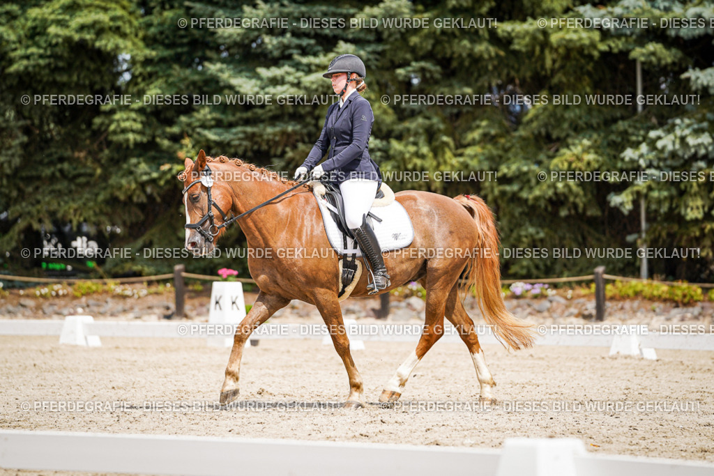 DSC03421 | Pferdegrafie