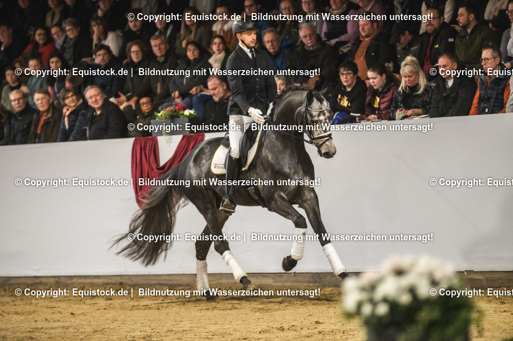 20240302_Hengstvorstellung_Marbach_TOMsPiC_0185-2 | equistock