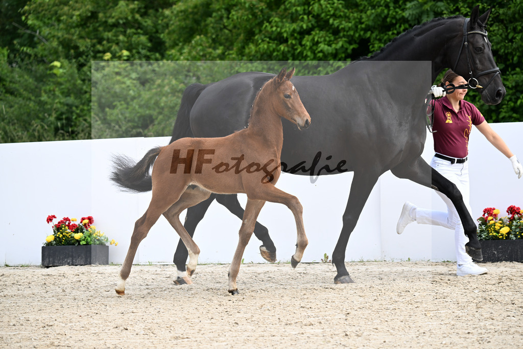 Veneno x Feriado_HF_Ederle_13250205 | hf-fotografie - Realizzato con Pictrs.com