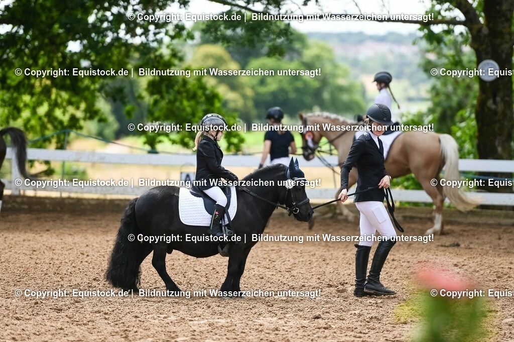 20230716_11_Führzügel-WB_0117 | equistock