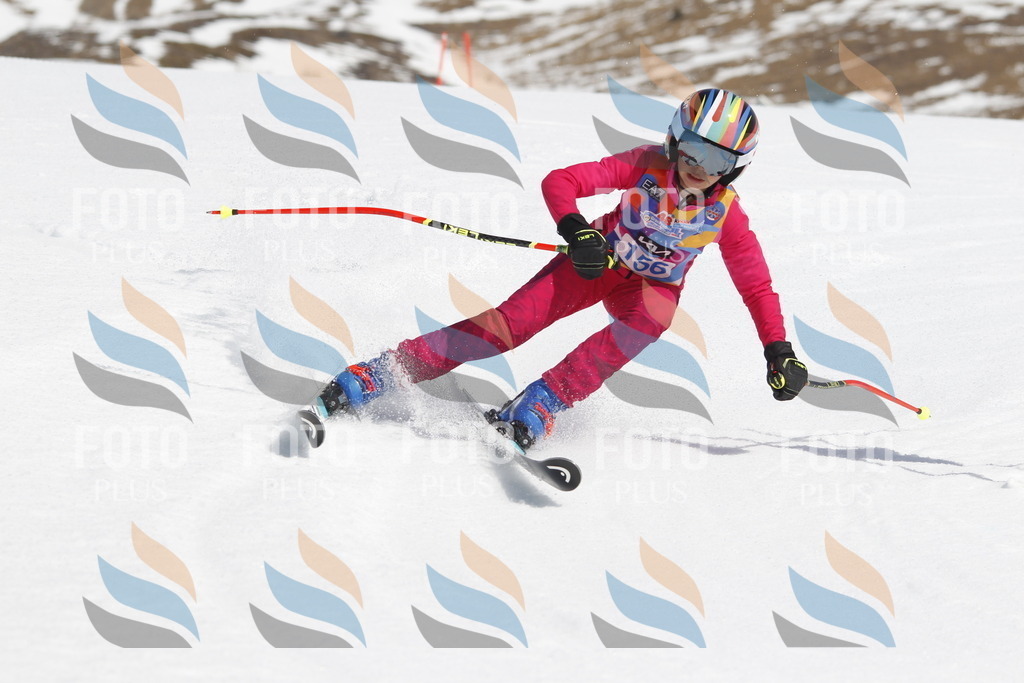 _U3G1346 | holidayphoto