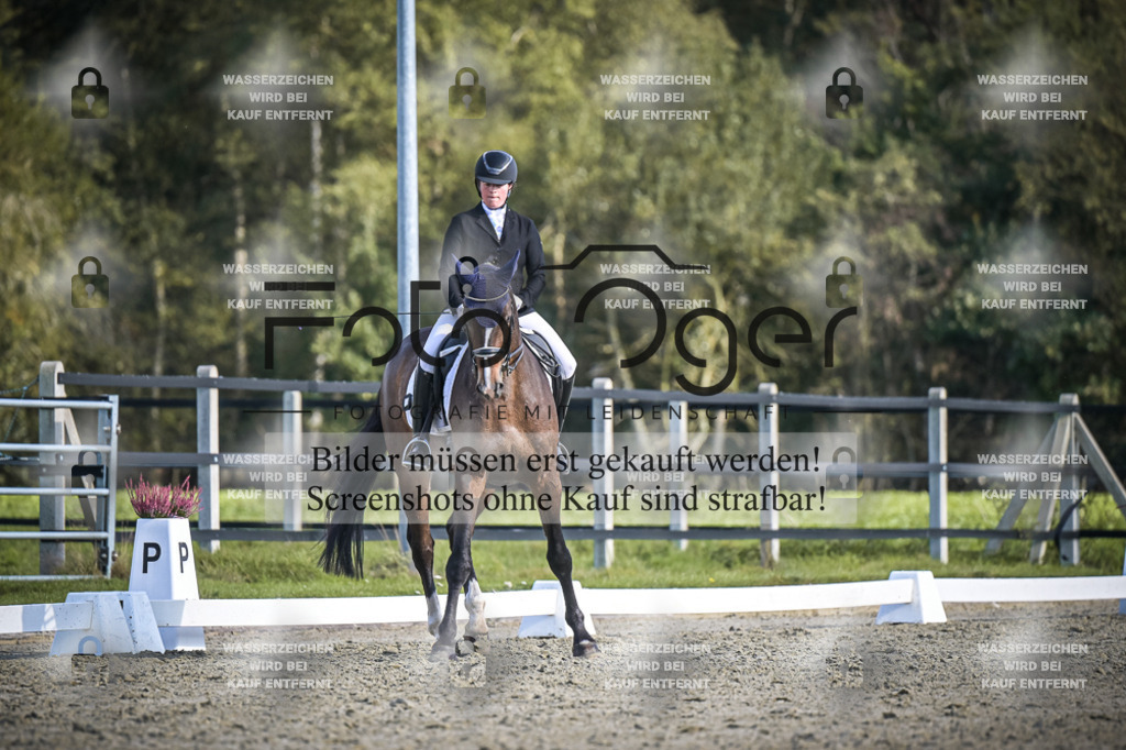 DOS_4735 | Entdecke hochwertige Reitturnierfotos von Foto Oger. Professionell, emotional und authentisch – jetzt Lieblingsmomente im Shop bestellen.Deutschlandweite Turnierfotografie. - Realisiert mit Pictrs.com