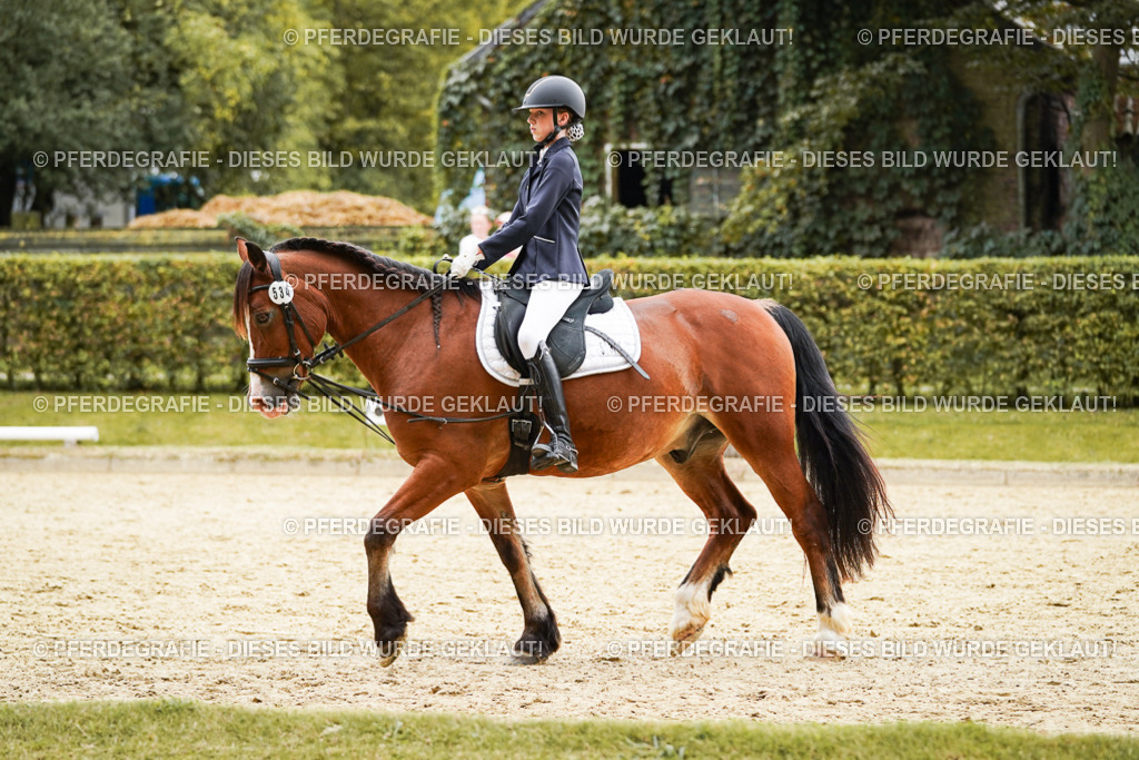 DSC00154 | Pferdegrafie