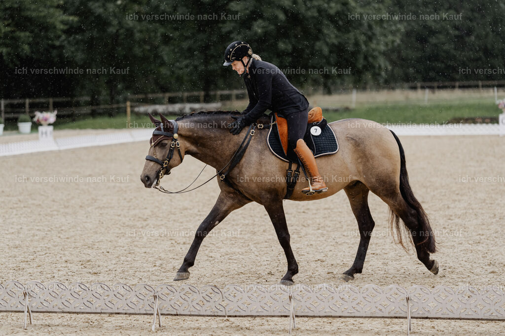 Katja7_FHC2025-8548 | working equitationturnier fotograf videograf stoibphotography marixx film working equitation deutschland reitsport turnierfotografie eventfotografie equestrian events