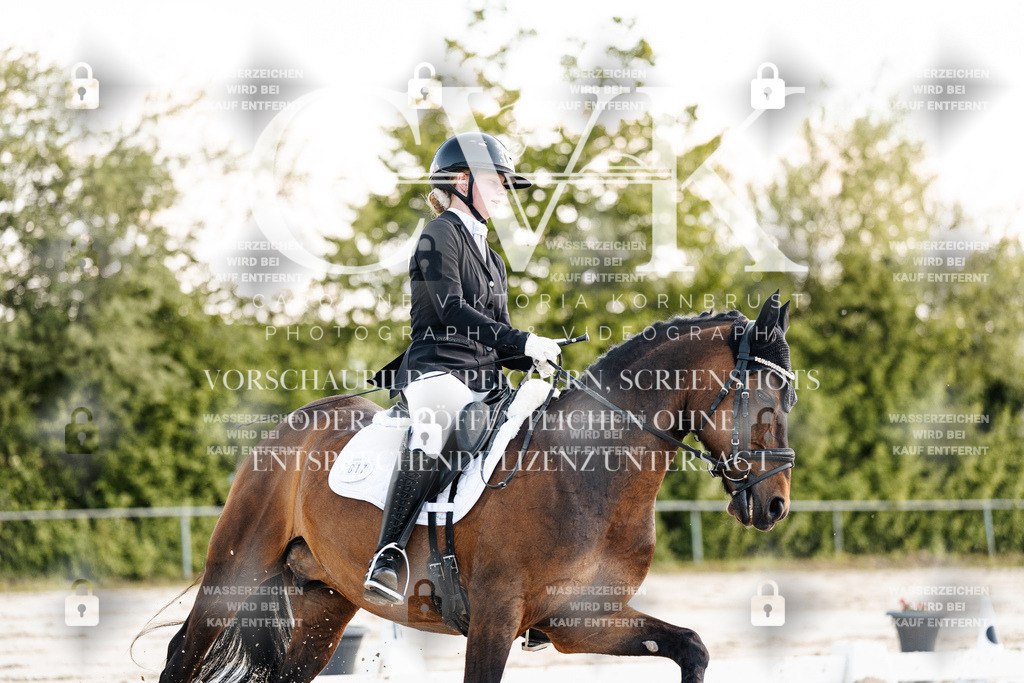 CK909597 | Turnierfotografie Pferdefotografie Trier Rheinland-Pfalz Pferdesport Reitsport Tierfotografie Sportfotografie Pferdevideo Pferdevideografie Equestrianvideography equestrianphotography  - Realisiert mit Pictrs.com