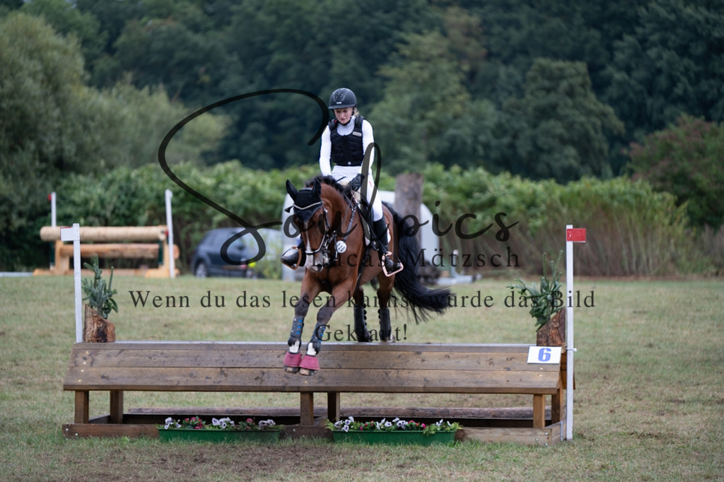 A7V00248 | Pferdefotograf