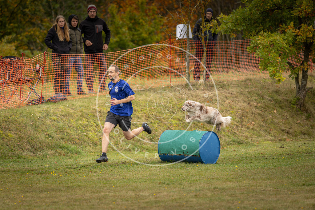 Pfotenfotografie_DV3A5882 | Hundefotografie, Tierfotograf, Pfotenfotografie, Fotoshooting Hund, Hunde Portrait, Hundesport, Hundeportraits, Heideshooting, Hunde, Sportfotograf, Hundefotograf, Turnierhundsport, THS,  - Realisiert mit Pictrs.com