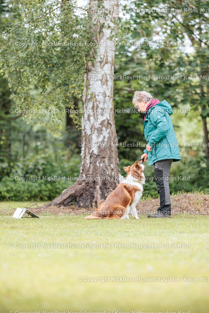 RO-Blumenthal-2026-Nickbest-Hundefotografie-5550 | Dein Hund! Dein Moment! Deine Erinnerungen! Hundefotografie in Bremen Blumenthal. Ich fange die besonderen Momente deines Vierbeiners ein – ob Indoor mit Blitzanlage oder in der freien Natur. Sicher dir dein Moment und dein Termin für eure Erinnerungen.