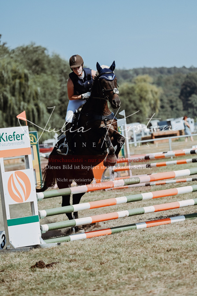 DSC_0004 | Pferde- und Turnierfotografie in Westsachsen. Pferdeportraits, Auftragszeichnungen und intuitive Kunst.