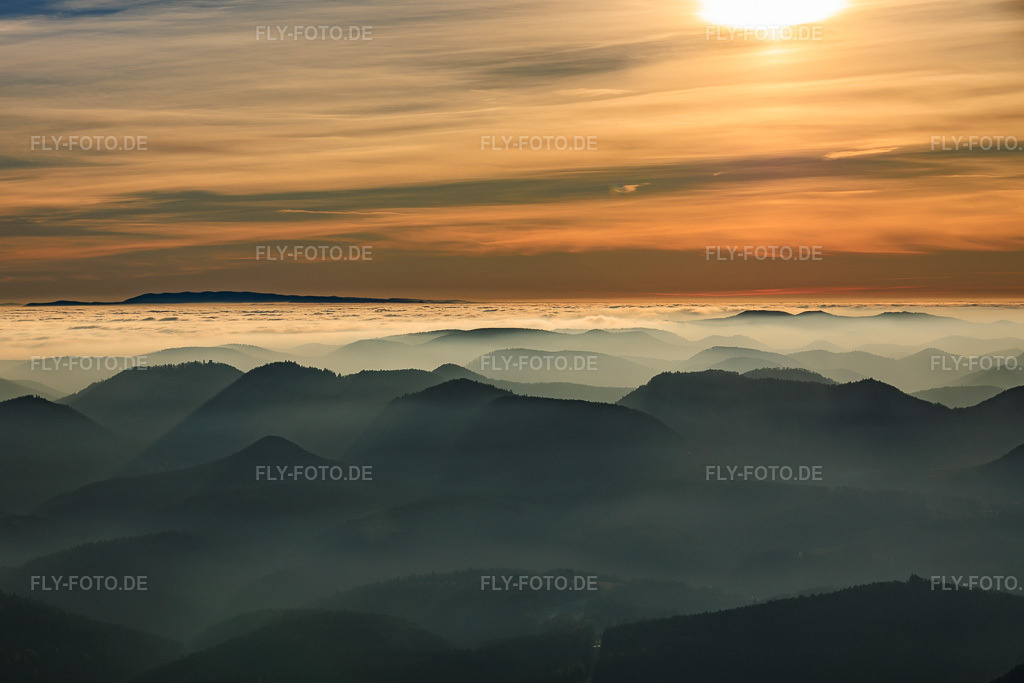 Luftbild: Blick zum Schwarzwald über die Rheinebene in Wolken im Ortsteil Schweigen in Schweigen-Rechtenbach im Bundesland Rheinland-Pfalz in Deutschland. Foto: IMG_151896.jpg vom 22.11.2025 durch Werner Riehm/FLY-FOTO.de