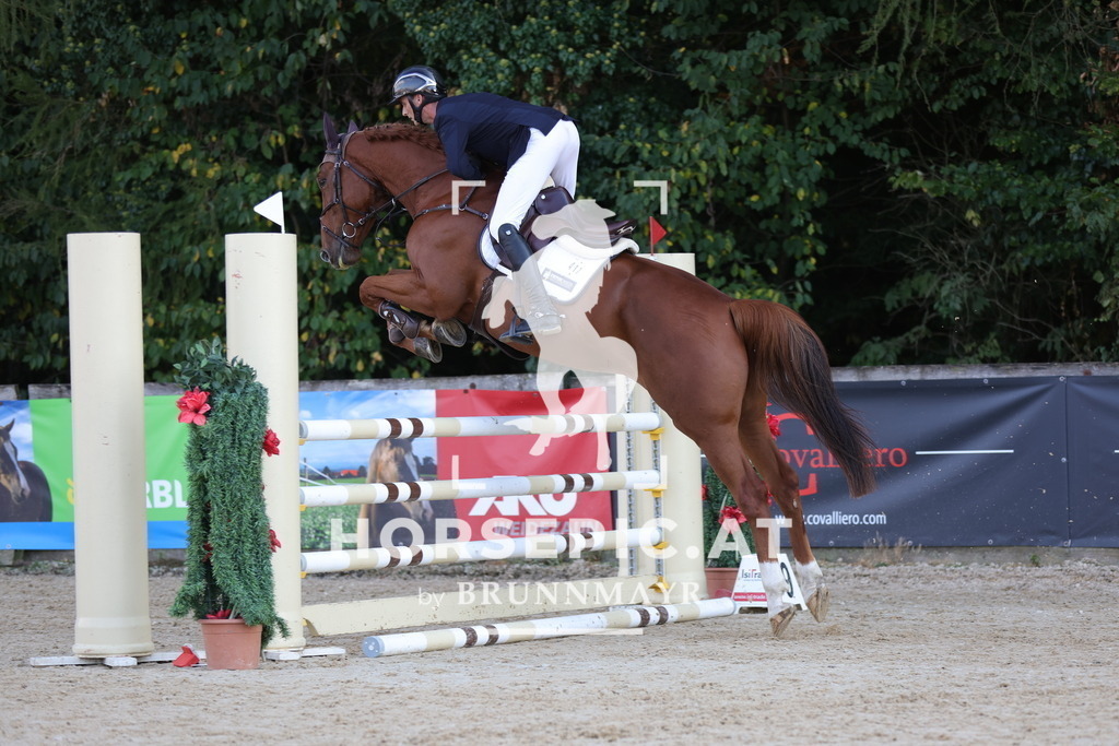 0P6A3876 | Willkommen bei Brunnmayr - Design & Fotografie – Ihrem Spezialisten für Reitturniere und Pferdeveranstaltungen in Oberösterreich, Salzburg und Bayern! Seit über 17 Jahren sind wir leidenschaftlich dabei.