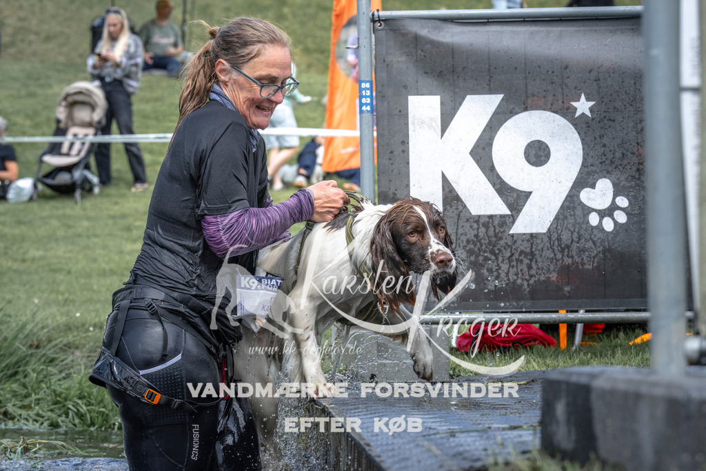 1156_ZZ94447 | kk-dogfotos