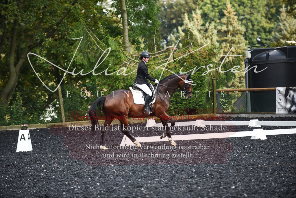 DSC_3333 | Pferde- und Turnierfotografie in Westsachsen. Pferdeportraits, Auftragszeichnungen und intuitive Kunst.