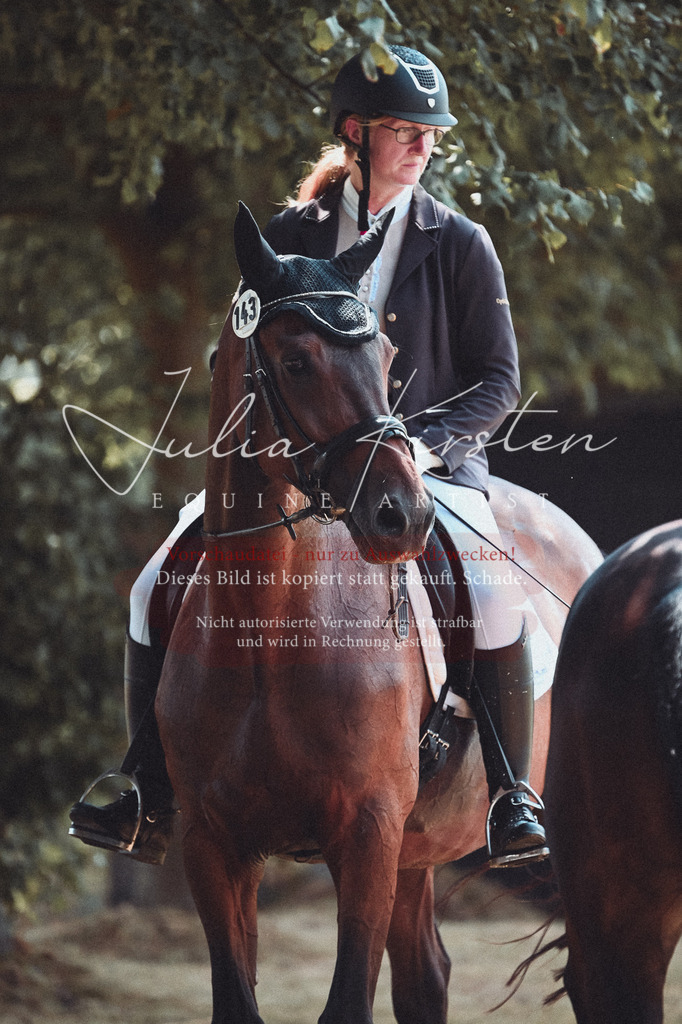 DSC_2758 | Pferde- und Turnierfotografie in Westsachsen. Pferdeportraits, Auftragszeichnungen und intuitive Kunst.