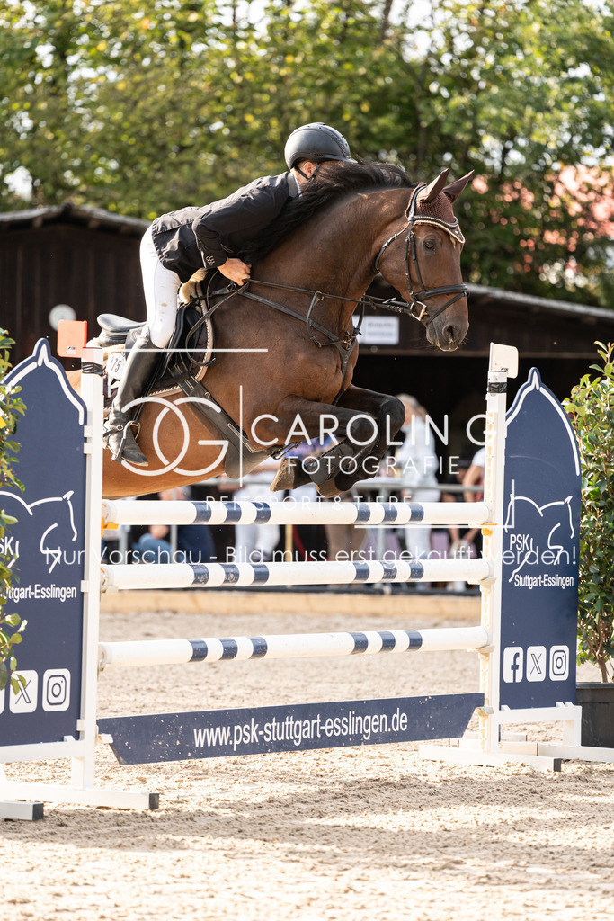 DSC02938 | Carolin Gieschke