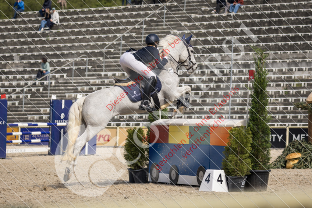 IMG_4651 | Sport-, Event- und Tierfotos in Profiqualität. Einfach auswählen, bestellen und herunterladen. Dein Moment – perfekt festgehalten.