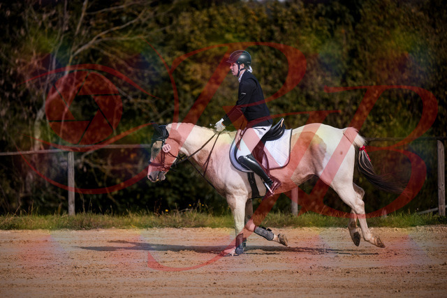 2026_10_03_Siefer-Hof_144251_Z81_16163693 | Professionelle Reitsport-, Turnier- und Eventfotografie von Robert Broda. Galerien mit ausgewählten und bearbeiteten Bildern direkt online ansehen und bestellen.