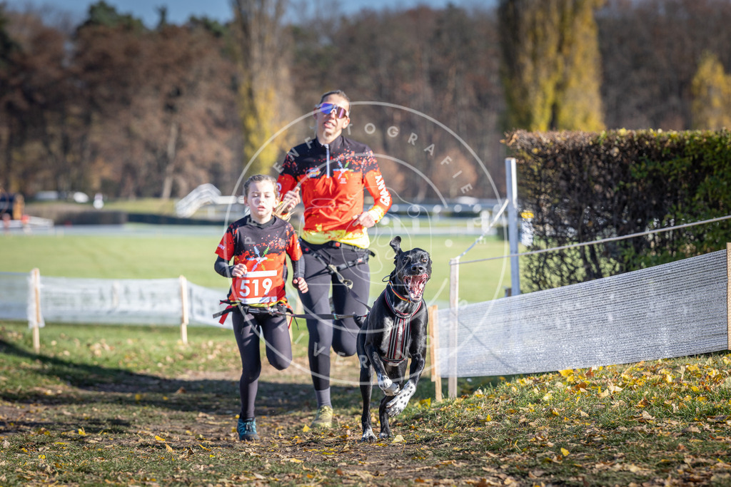 CaniXpix_DV3A8090 | Hundefotografie, Tierfotograf, Pfotenfotografie, Fotoshooting Hund, Hunde Portrait, Hundesport, Hundeportraits, Heideshooting, Hunde, Sportfotograf, Hundefotograf, Turnierhundsport, THS,  - Realisiert mit Pictrs.com