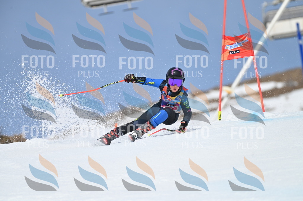 BGV_2736 | holidayphoto