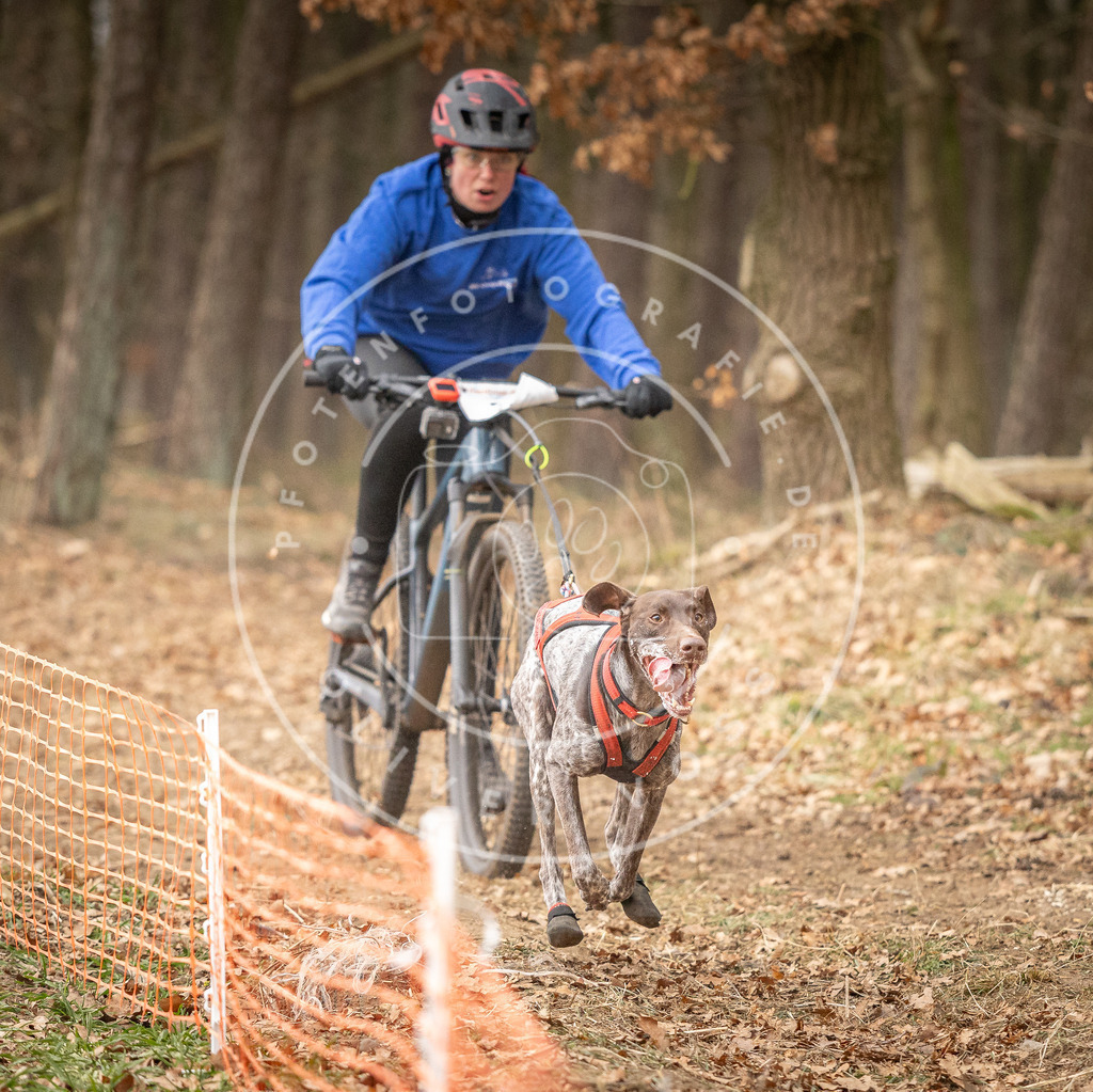 Pfotenfotografie_DV3A3304 | Hundefotografie, Tierfotograf, Pfotenfotografie, Fotoshooting Hund, Hunde Portrait, Hundesport, Hundeportraits, Heideshooting, Hunde, Sportfotograf, Hundefotograf, Turnierhundsport, THS,  - Realisiert mit Pictrs.com