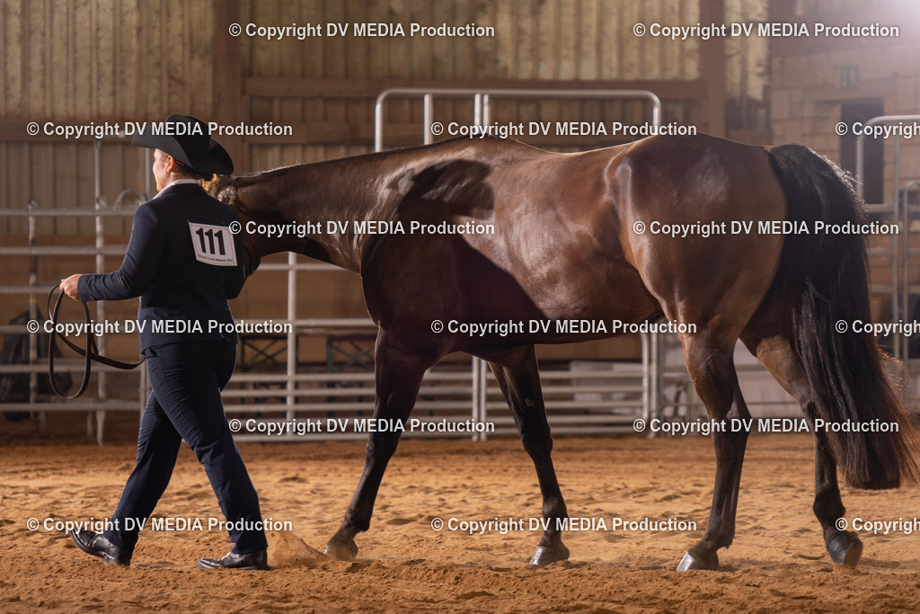 NID00075 | dv-media-shop - Realisiert mit Pictrs.com