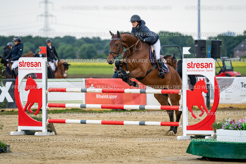 DSC05601 | Pferdegrafie