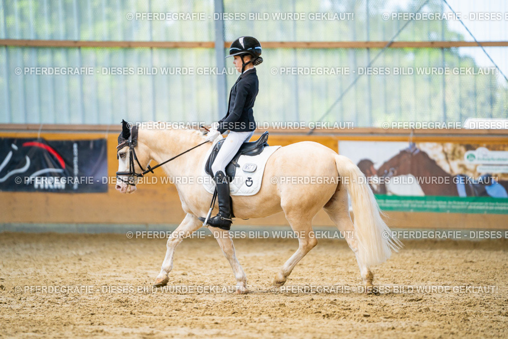 DSC07463 | Pferdegrafie