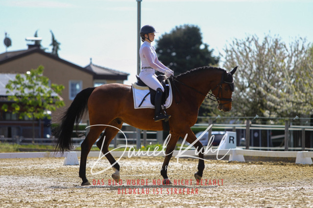 DKP40718 | Turniersportfotografie; Pferdefotografie; Dressurfotografie