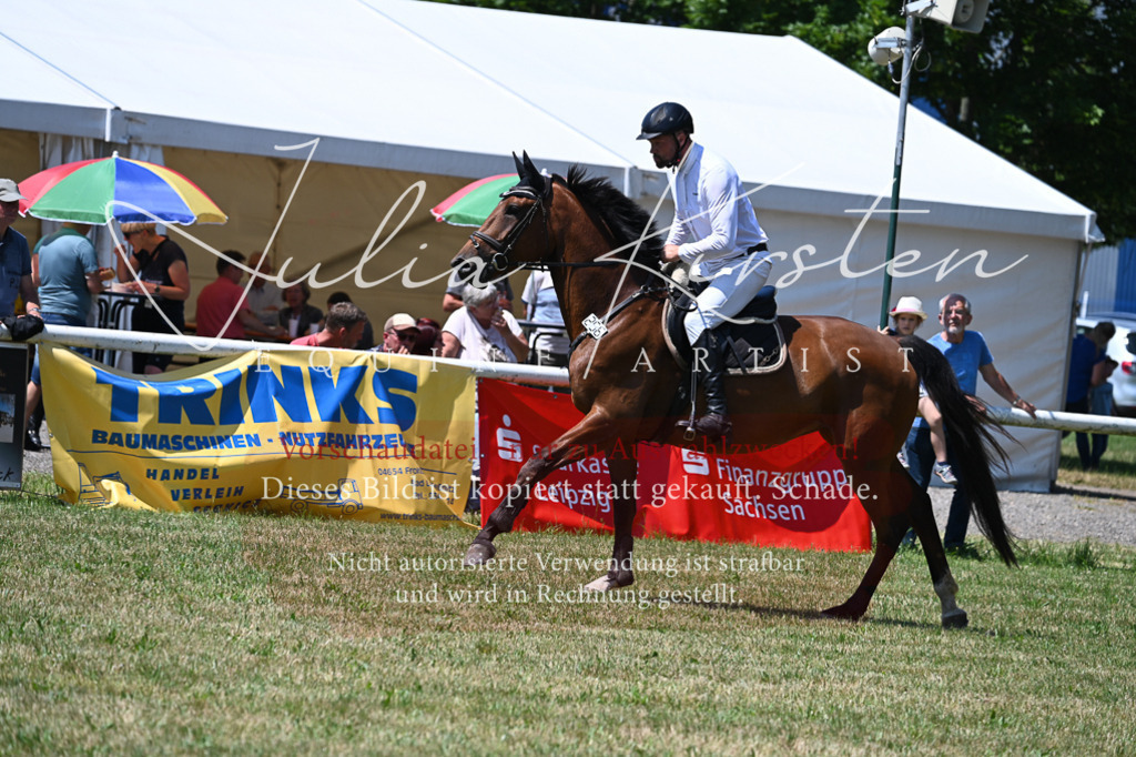 DSC_0584 | Pferde- und Turnierfotografie in Westsachsen. Pferdeportraits, Auftragszeichnungen und intuitive Kunst.