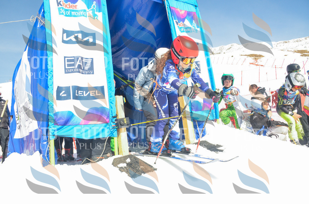 _ELE5961 | holidayphoto