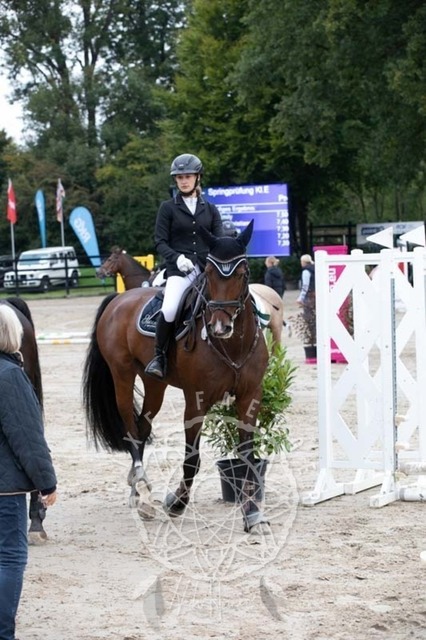 2B4A2373 | pixelfaenger - Realisiert mit Pictrs.com