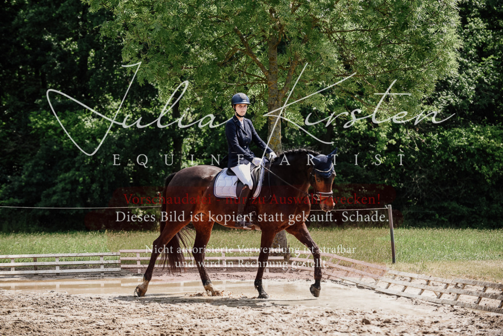 DSC_1474 | Pferde- und Turnierfotografie in Westsachsen. Pferdeportraits, Auftragszeichnungen und intuitive Kunst.