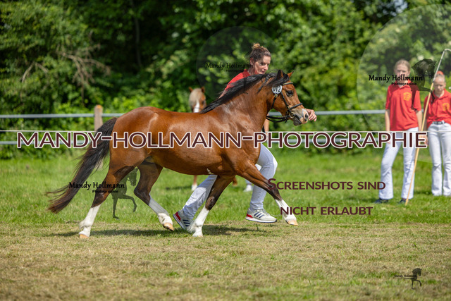 RR 1 (447 von 841) | mandyhollmannphotographie