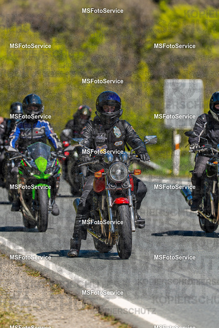 MSFotoServiceXXX281 | MSFotoService - Realisiert mit Pictrs.com