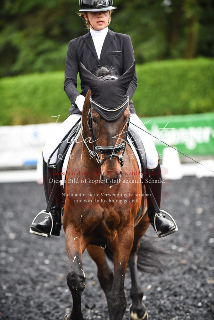 DSC_2946 | Pferde- und Turnierfotografie in Westsachsen. Pferdeportraits, Auftragszeichnungen und intuitive Kunst.