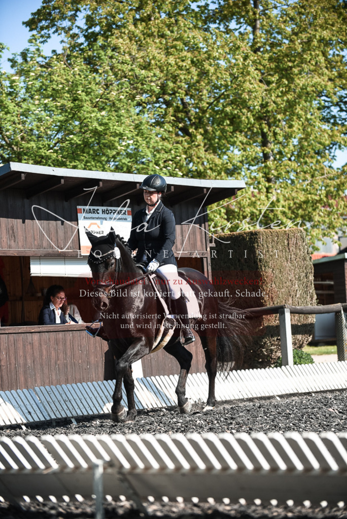 DSC_8614 | Pferde- und Turnierfotografie in Westsachsen. Pferdeportraits, Auftragszeichnungen und intuitive Kunst.