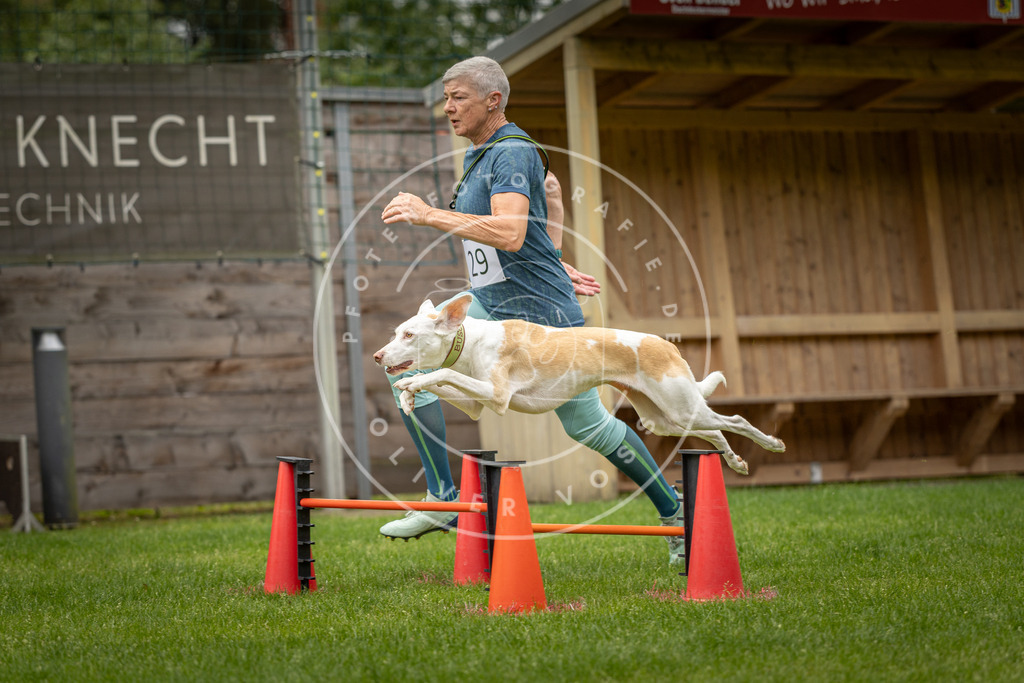 Pfotenfotografie_DV3A8897 | Hundefotografie, Tierfotograf, Pfotenfotografie, Fotoshooting Hund, Hunde Portrait, Hundesport, Hundeportraits, Heideshooting, Hunde, Sportfotograf, Hundefotograf, Turnierhundsport, THS,  - Realisiert mit Pictrs.com