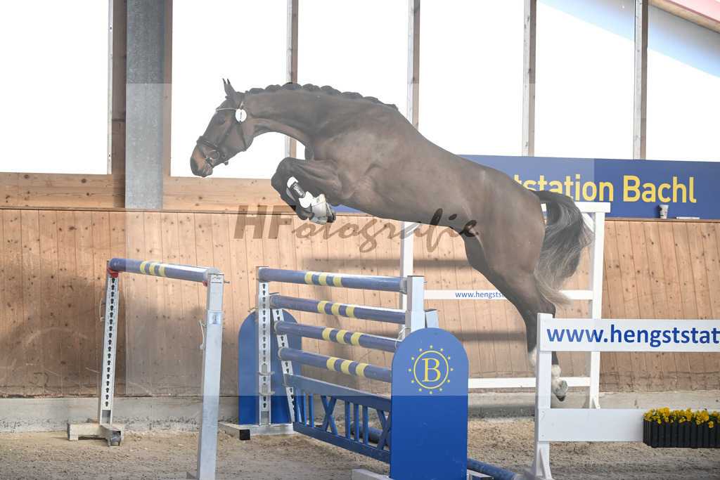 Kat-Nr. 1 Cellestina v Cellestial_Steidl_14262014 | hf-fotografie - Realizzato con Pictrs.com