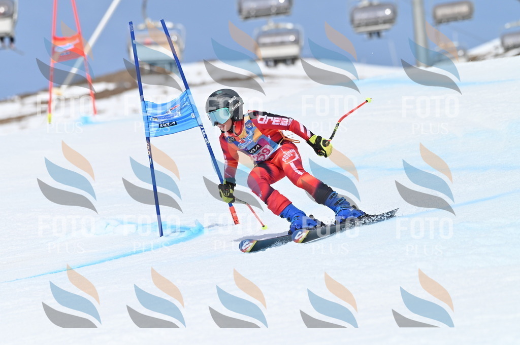 BGV_2055 | holidayphoto