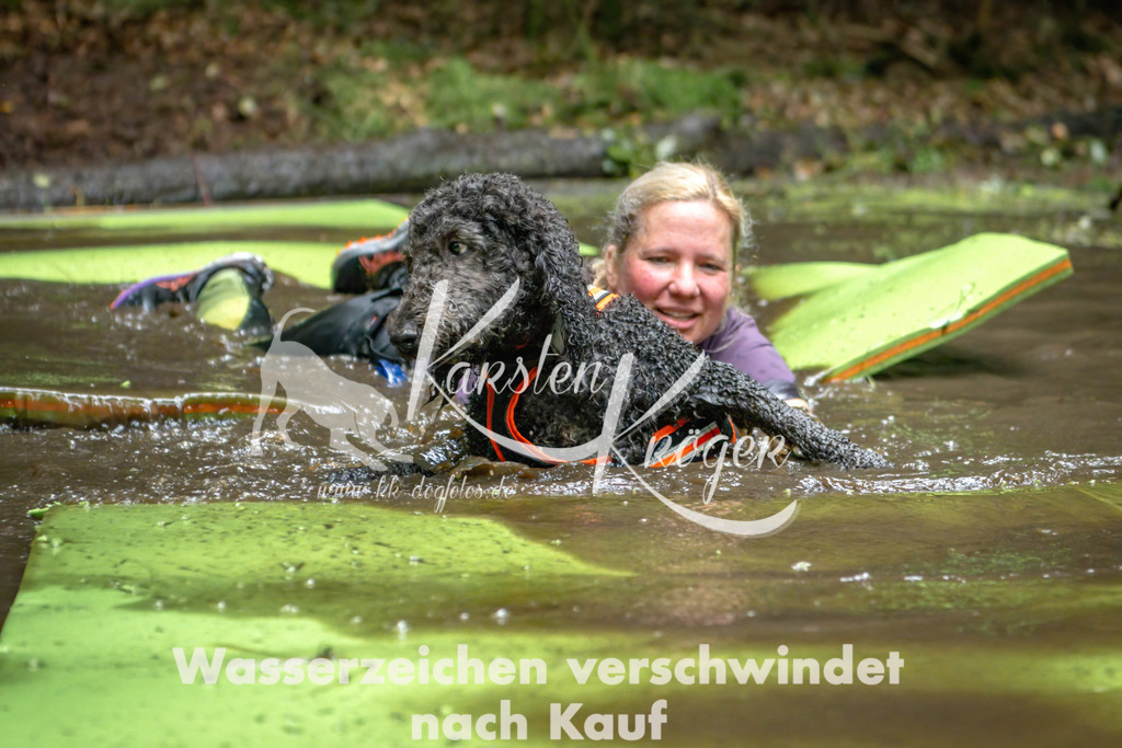 1537_ZZ91436-Bearbeitet | kk-dogfotos