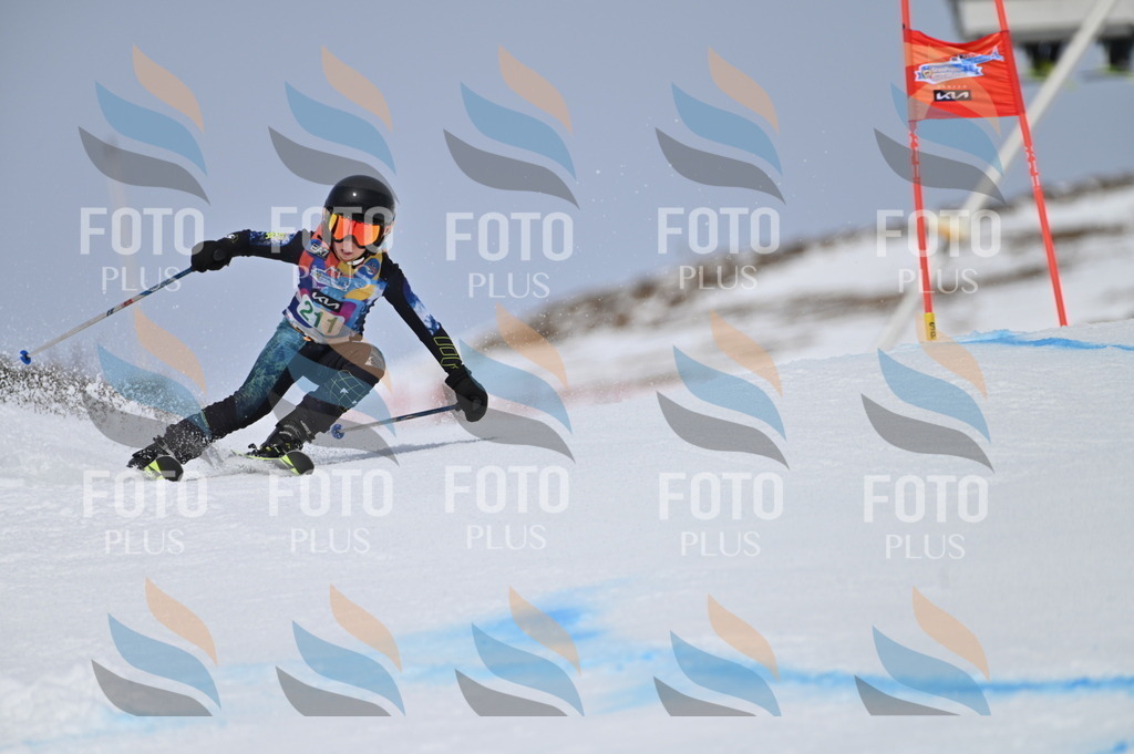 BGV_4078 | holidayphoto