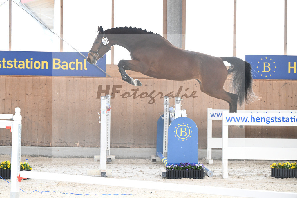 Kat-Nr. 53 Condessa M v. Van Cordoba_Mayer_5250466 | hf-fotografie - Realisiert mit Pictrs.com