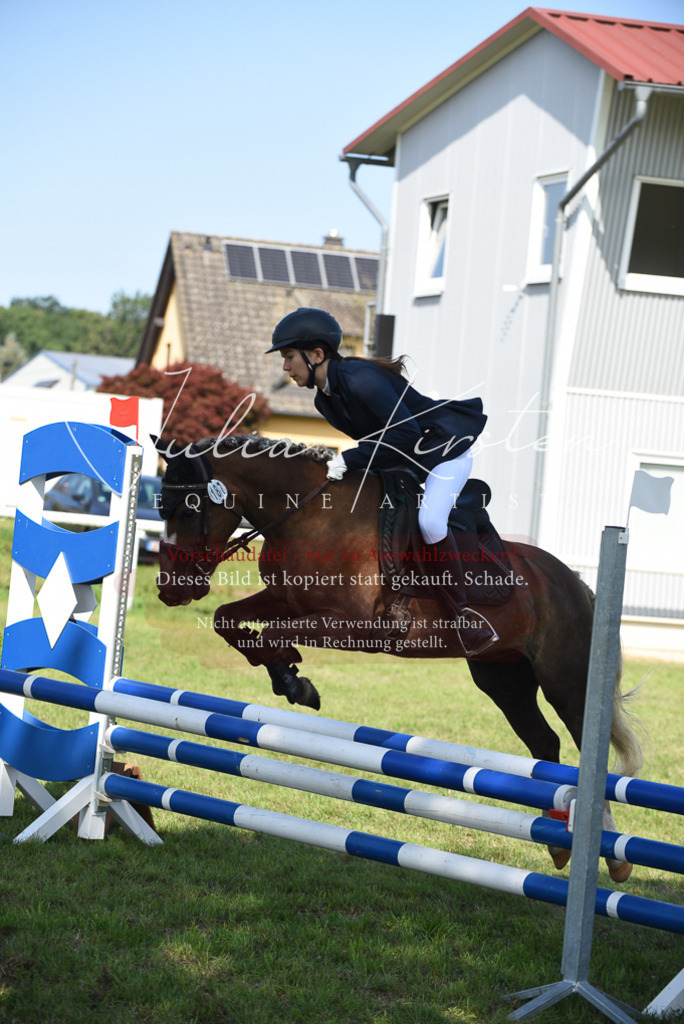 DSC_9067 | Pferde- und Turnierfotografie in Westsachsen. Pferdeportraits, Auftragszeichnungen und intuitive Kunst.