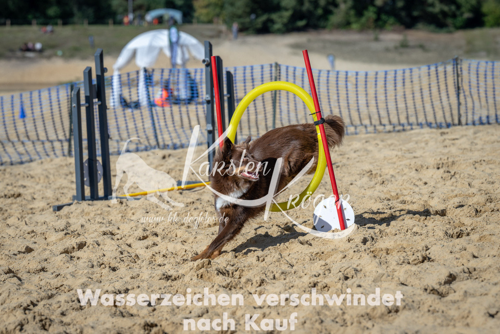 1232_ZZ93299-2 | kk-dogfotos